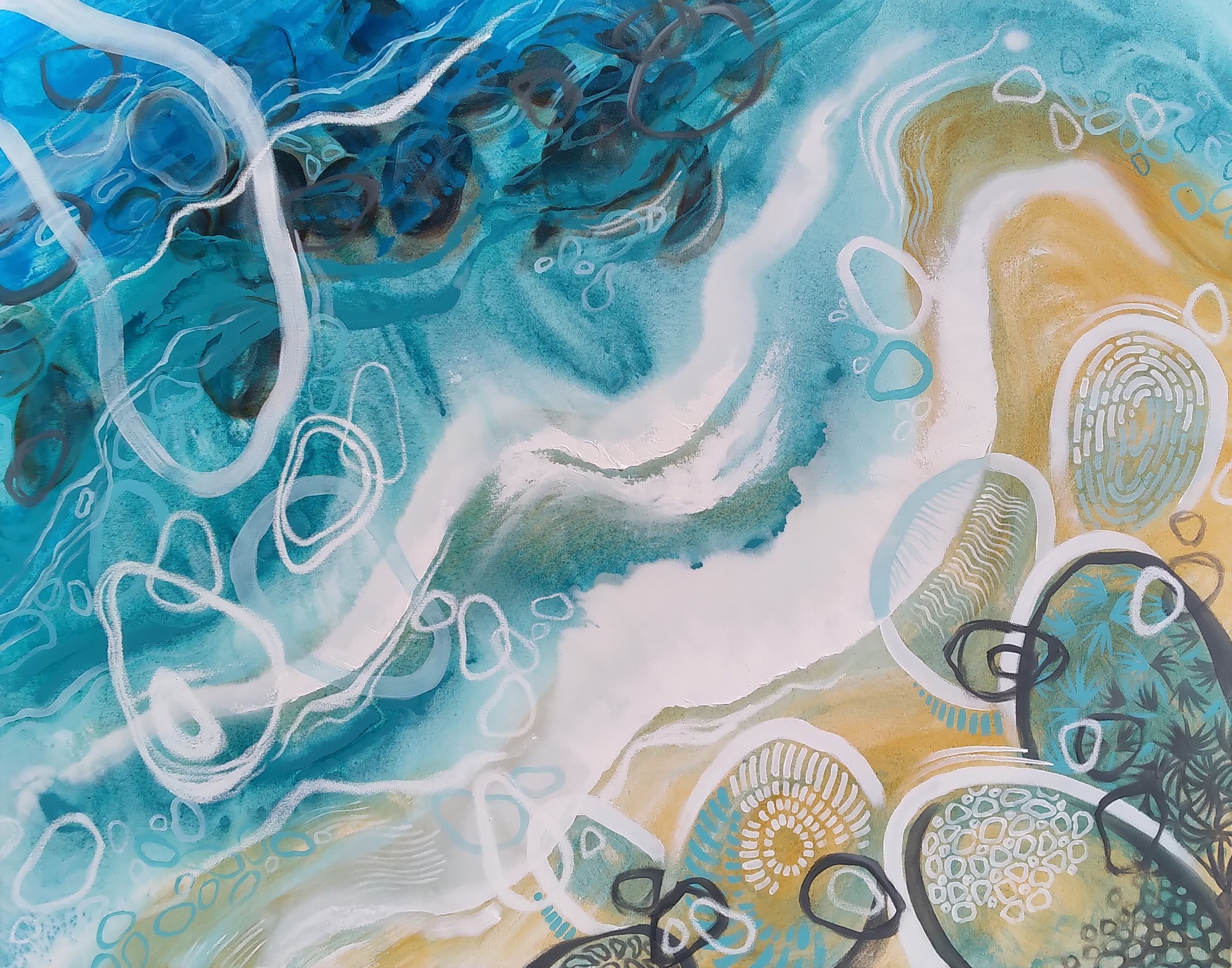 Coastal Contours